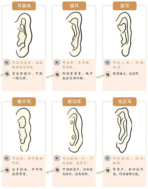 耳骨突出 面相|面相耳朵图解【最详细版】 – 杨易德全集官网